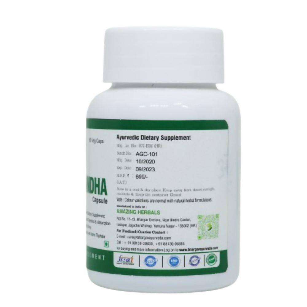 Canva - 2024-12-26T123716.693