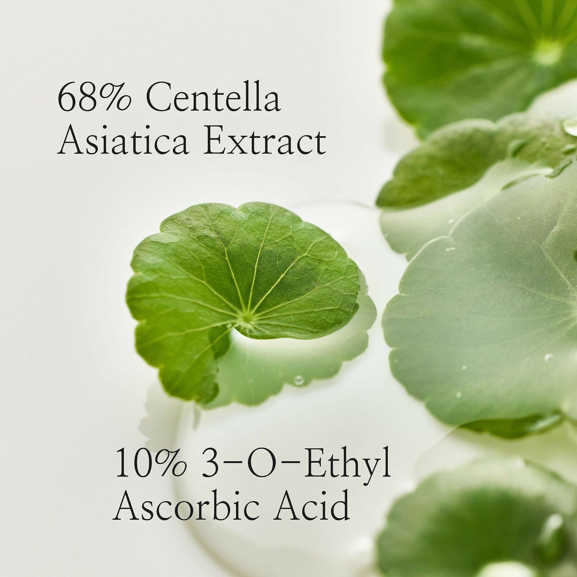 Beauty of Joseon Light On Serum Centella + Vita C - Korean Skincare  Grab2Buy Beauty of Joseon Grab2Buy