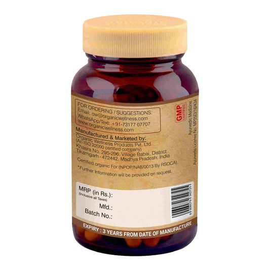 Organic Wellness Cinnamon Vegetarian Capsules - Grab2buy
