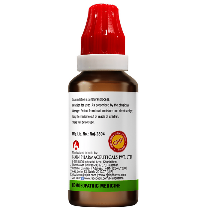 Bjain Homeopathy Carica Papaya Mother Tincture Q  Grab2Buy Bjain Homeopathy Grab2Buy