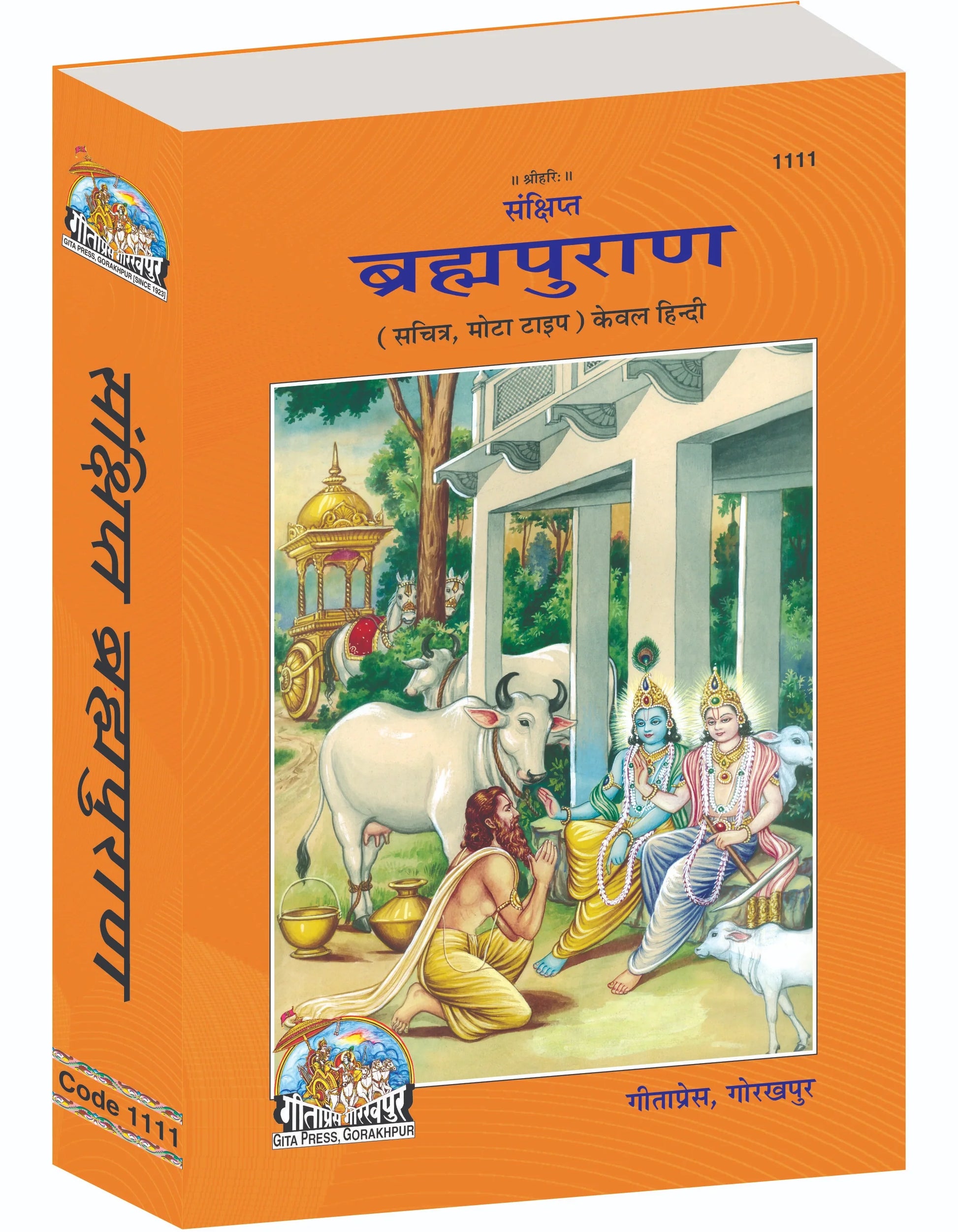 Sankshipt Brahma Purana – Illustrated Hindi Edition in Large Print by