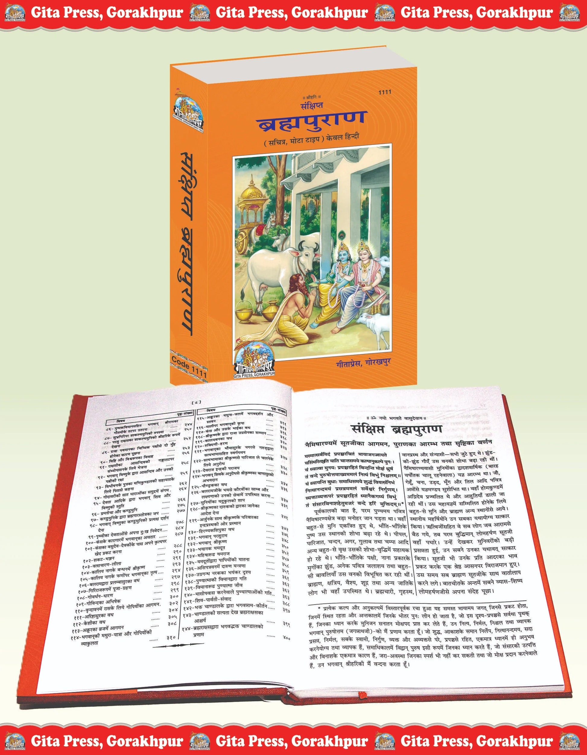 Sankshipt Brahma Purana – Illustrated Hindi Edition in Large Print by