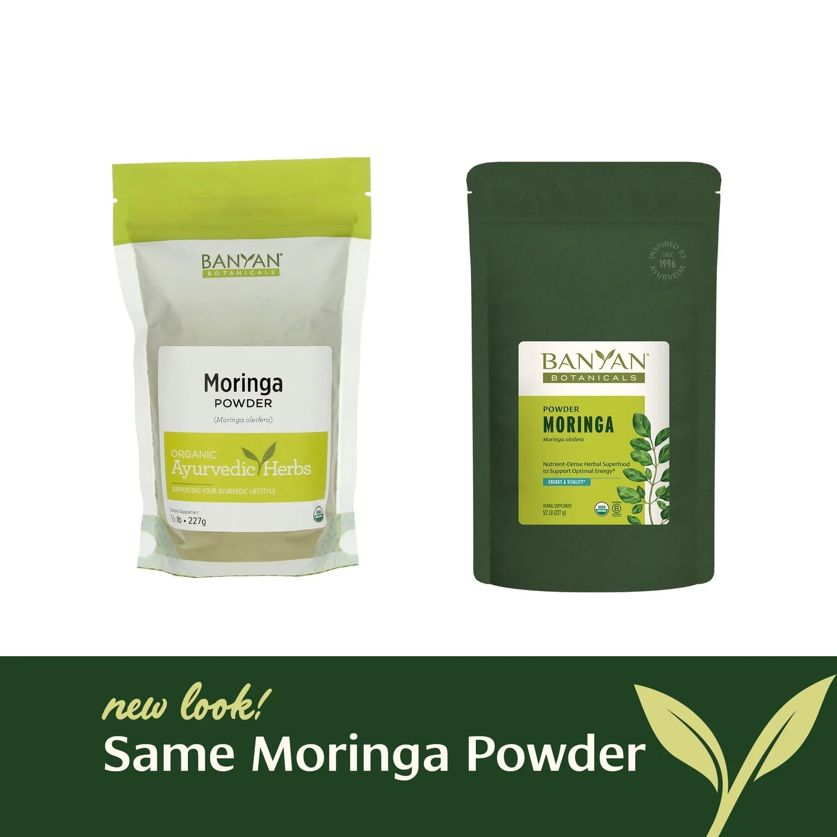 Moringa powder - Certified Organic 