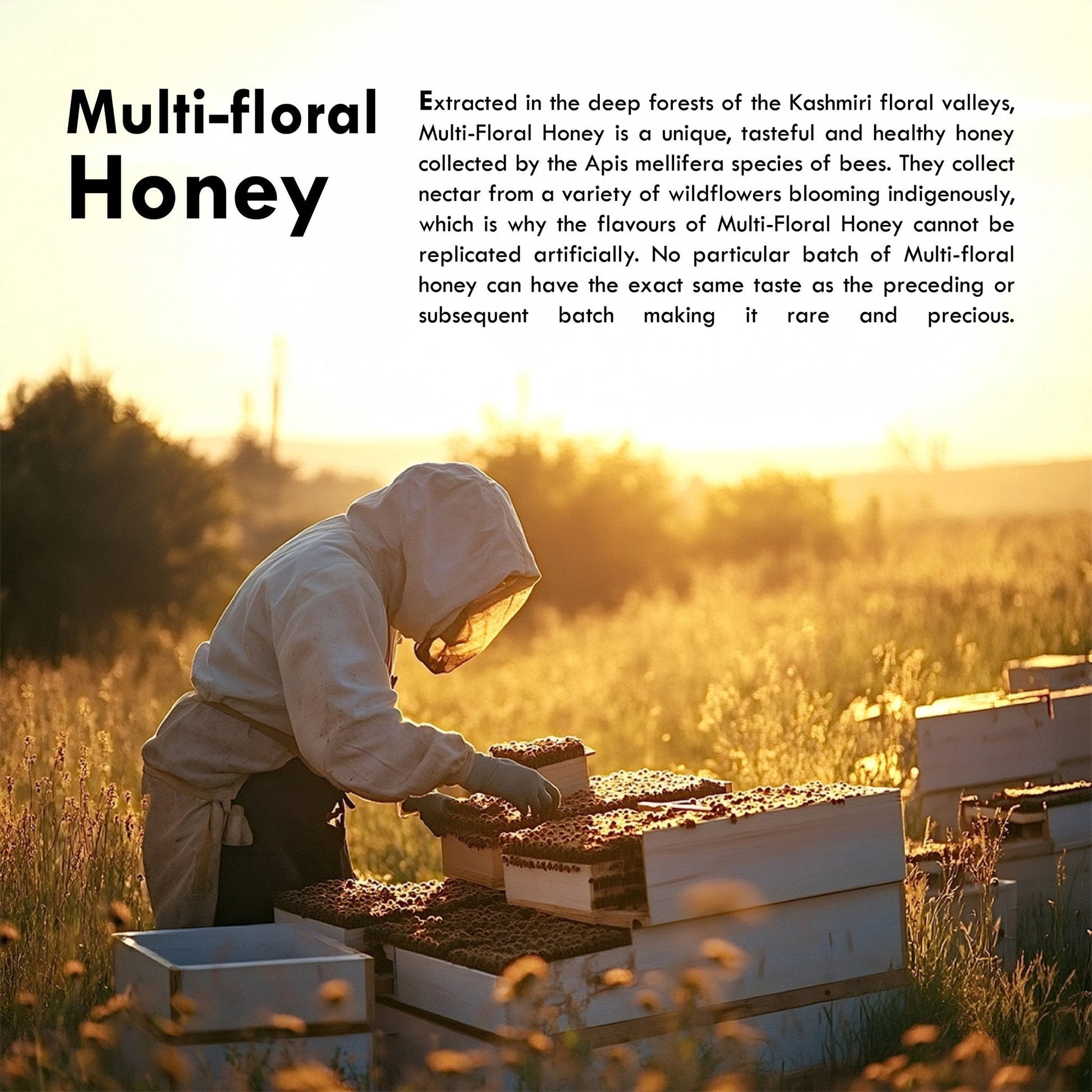 Sublime Inspiring Awe Multi Floral Honey  Grab2Buy Sublime Inspiring Awe Grab2Buy