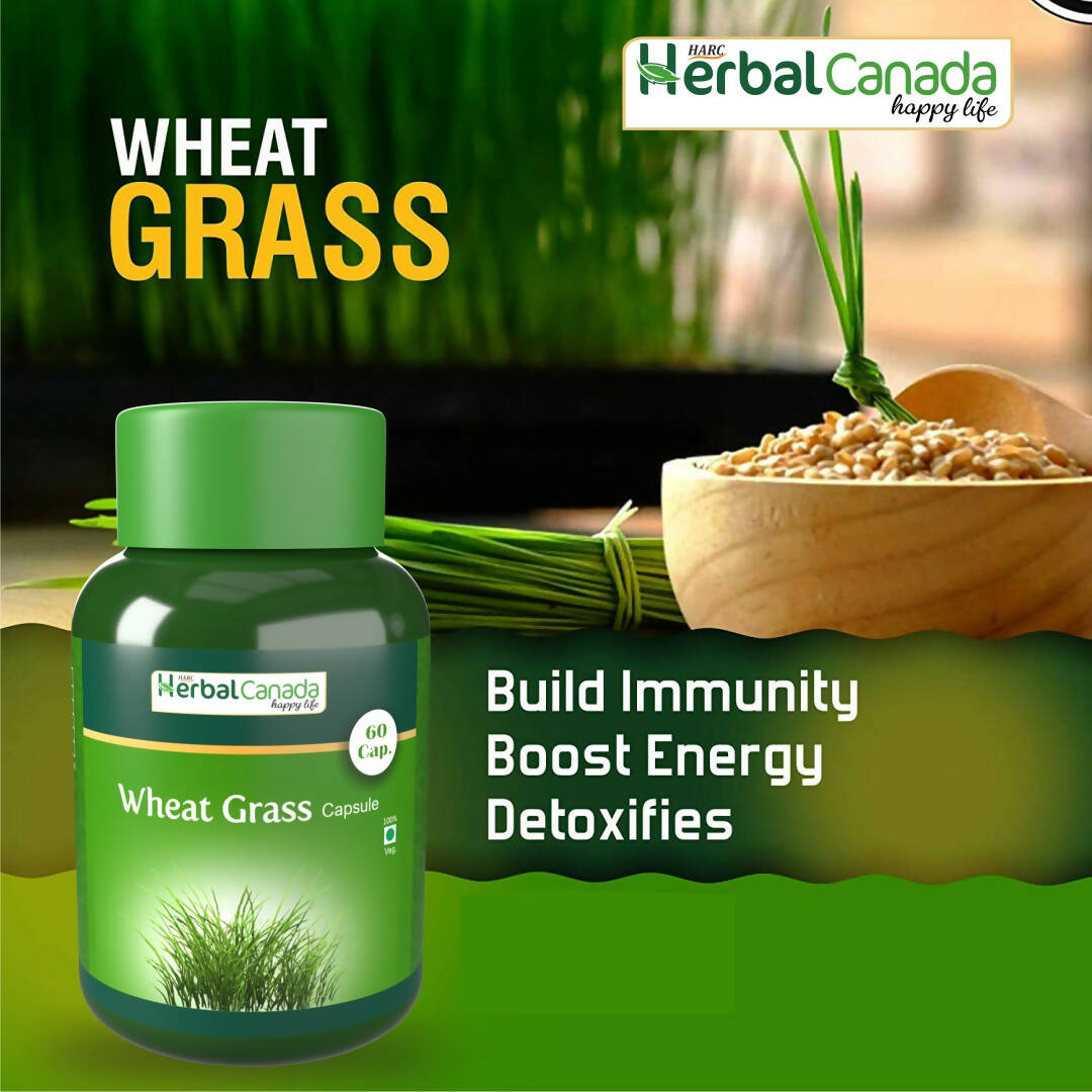 Herbal Canada Wheat Grass Capsules - Grab2buy