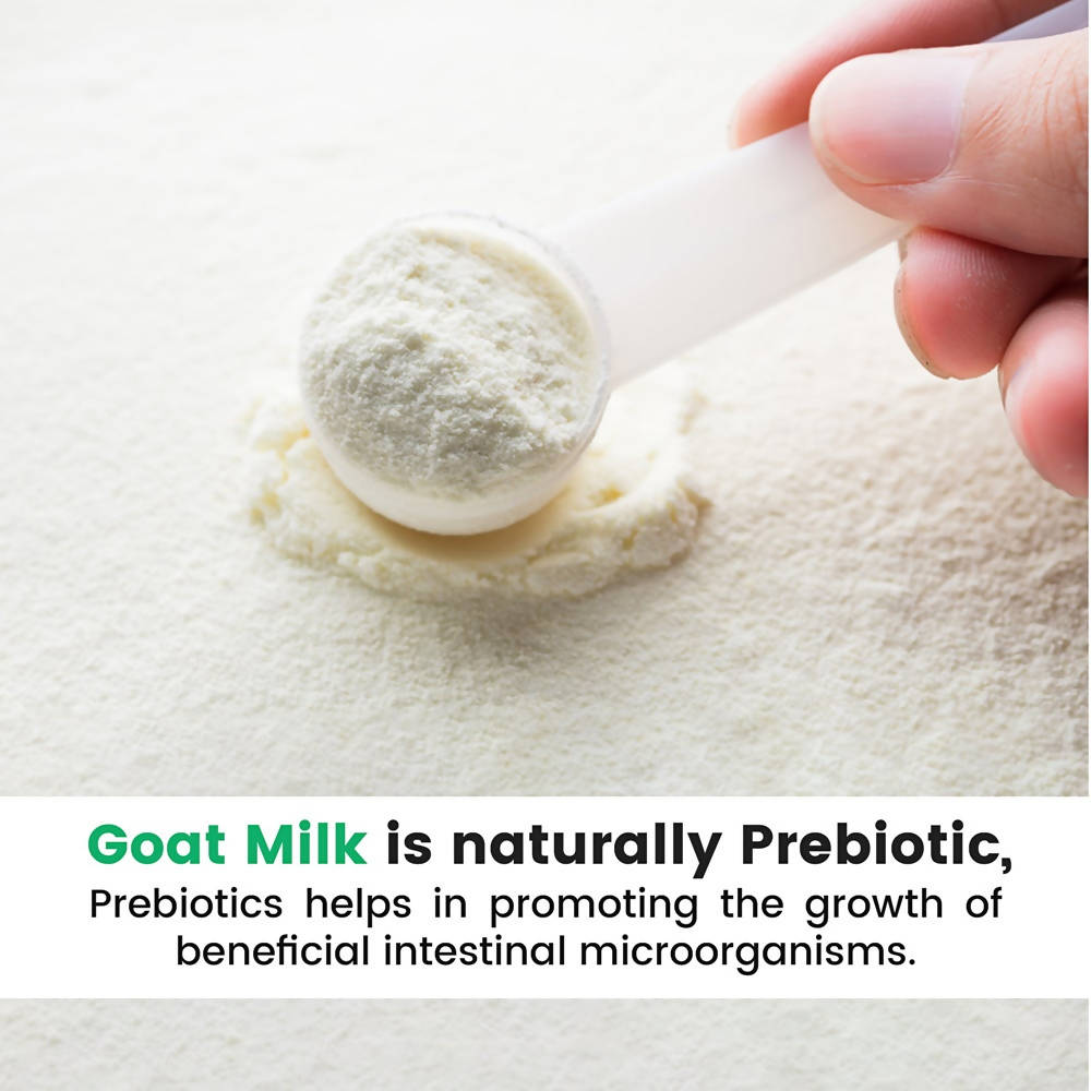 Hye Foods Goat Milk Powder 