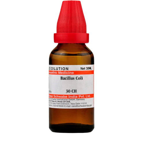 Dr. Willmar Schwabe India Bacillus Coli Dilution 