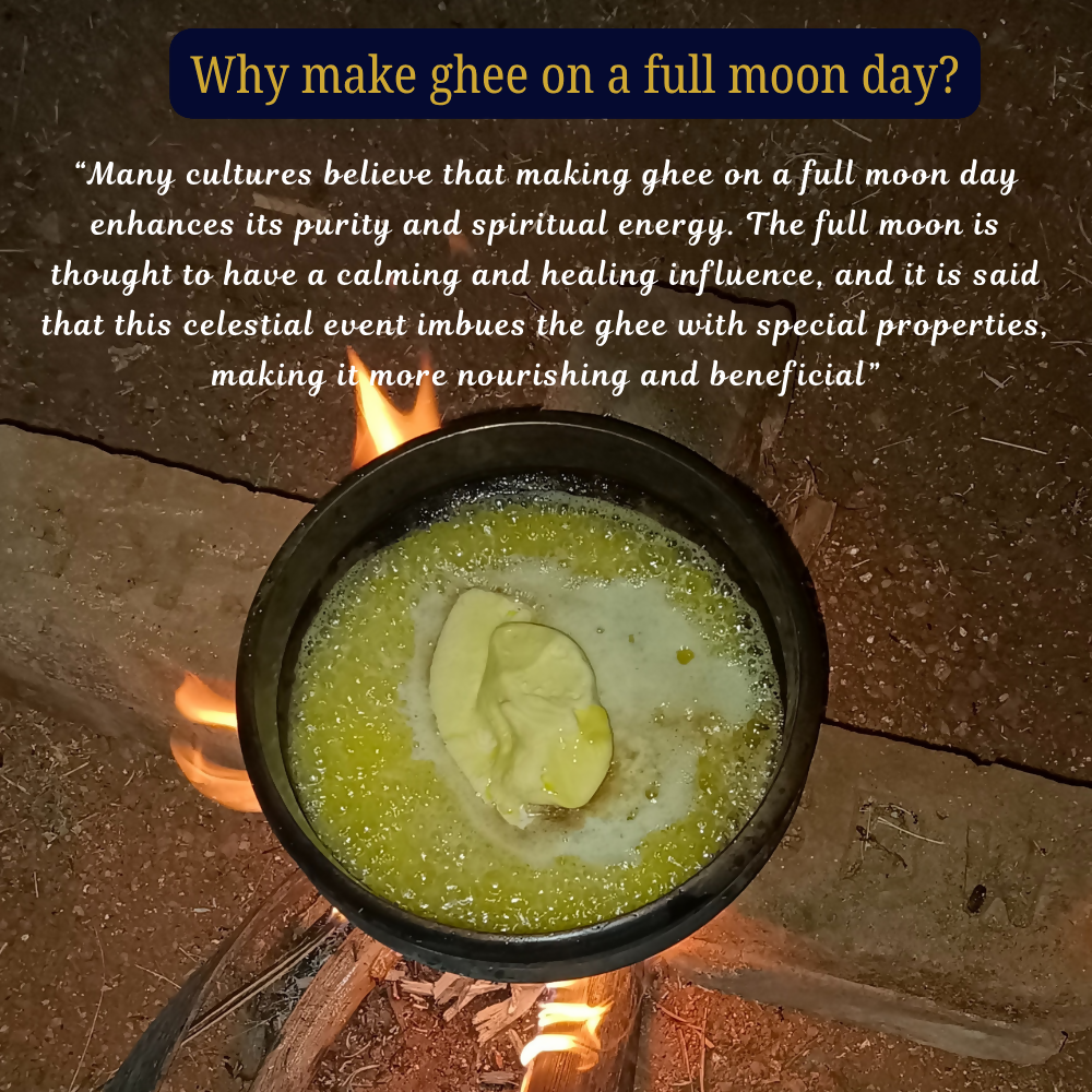 Tatsat Full Moon Day Ghee From Forest Gazing Amruth Mahal A2 Cows | Indian Hallikar Cow Ghee, Pure A2 Ghee, Natural & Healthy, Non-GMO 