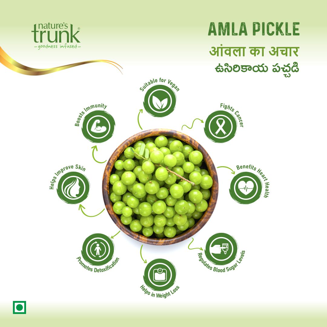 Nature's Trunk Homemade Amla Pickle 