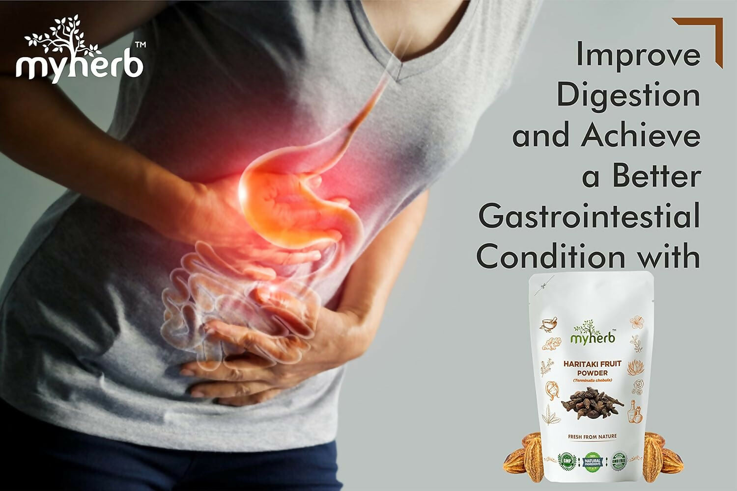 Myherb Natural Organic Haritaki Powder 