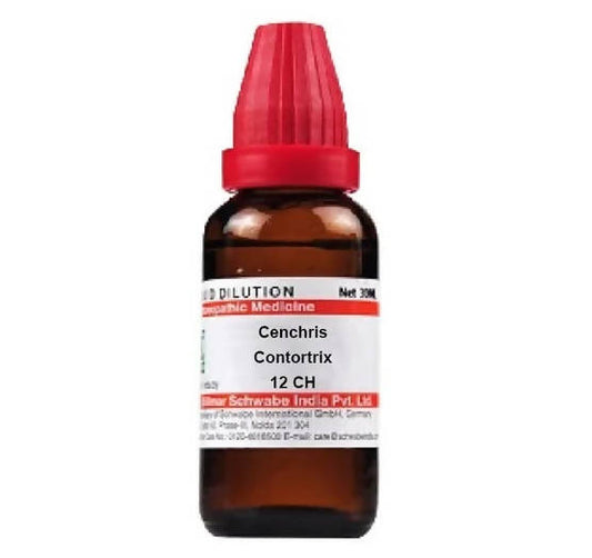 Dr. Willmar Schwabe India Cenchris Contortrix Dilution 