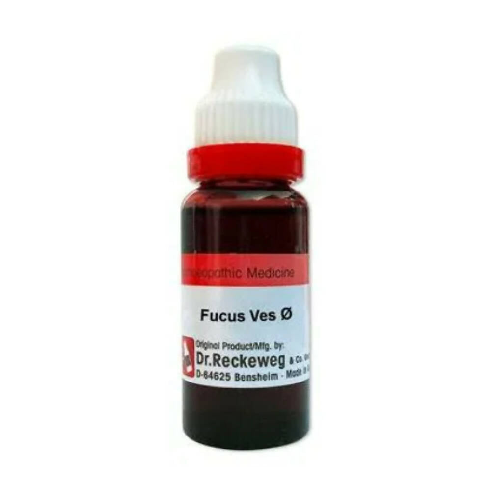 Dr. Reckeweg Fucus Vesic Mother Tincture Q - Grab2buy