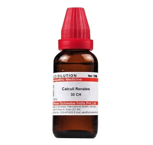 Dr. Willmar Schwabe India Calculi Renales Dilution 