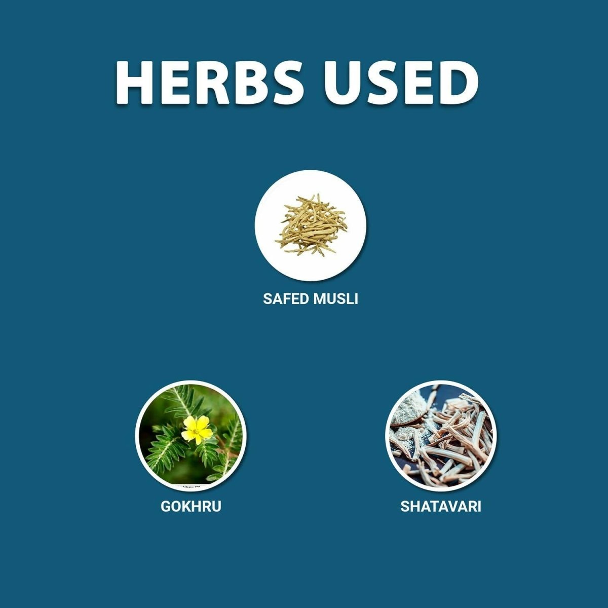 Aadar Power Build Safed Musli, Gokhru, Shatavari Capsules - Grab2buy