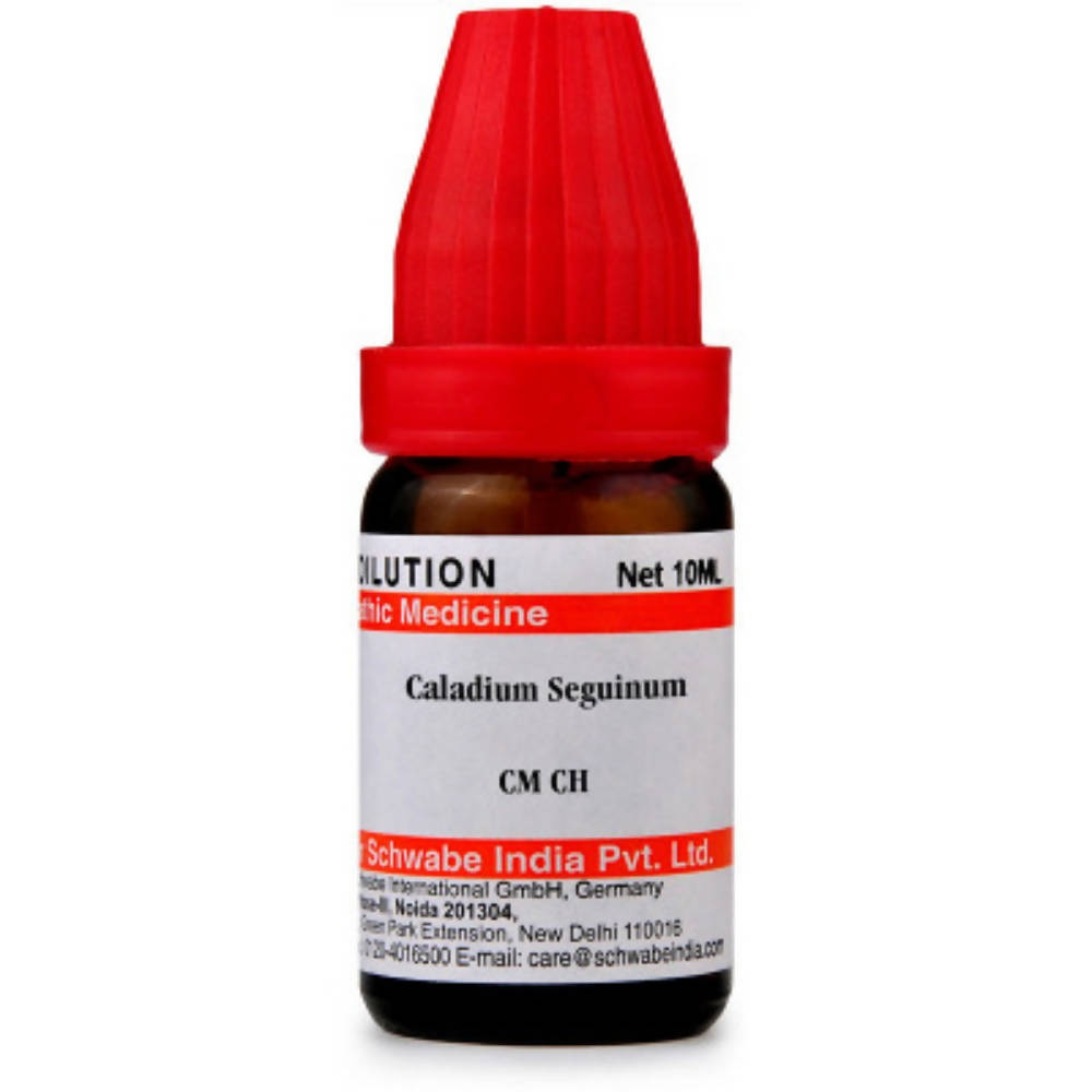 Dr. Willmar Schwabe India Caladium Seguinum Dilution - Grab2buy