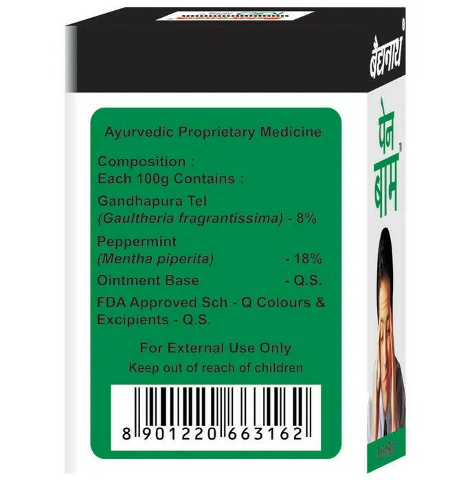 Baidyanath Nagpur Pain Relief Balm - Grab2buy