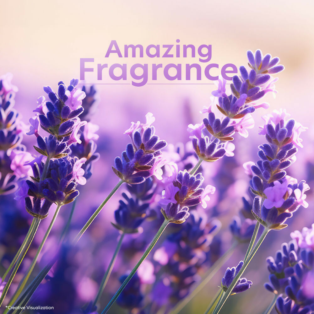Vivel Fragrant Body Wash Lavender & Almond Oil Moisturizing Shower Gel Supersaver Refill Pack  Grab2Buy Vivel Grab2Buy