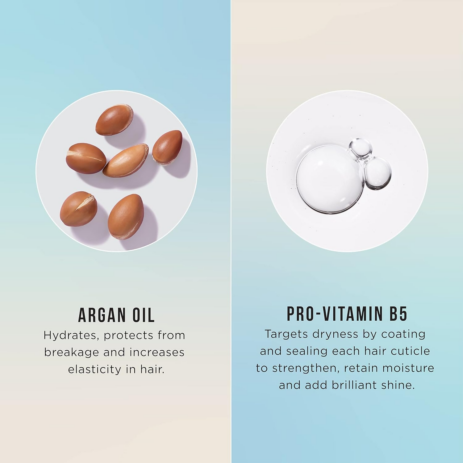 HASK Argan Oil 5-IN-1 Leave-IN-Conditioner Spray | Swadesiicart