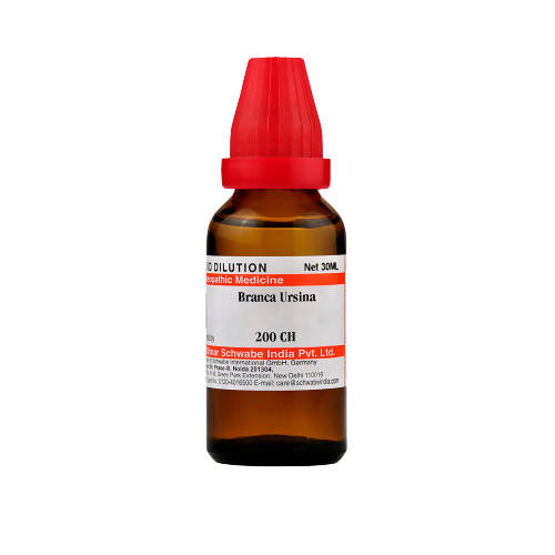 Dr. Willmar Schwabe India Branca Ursina Dilution 