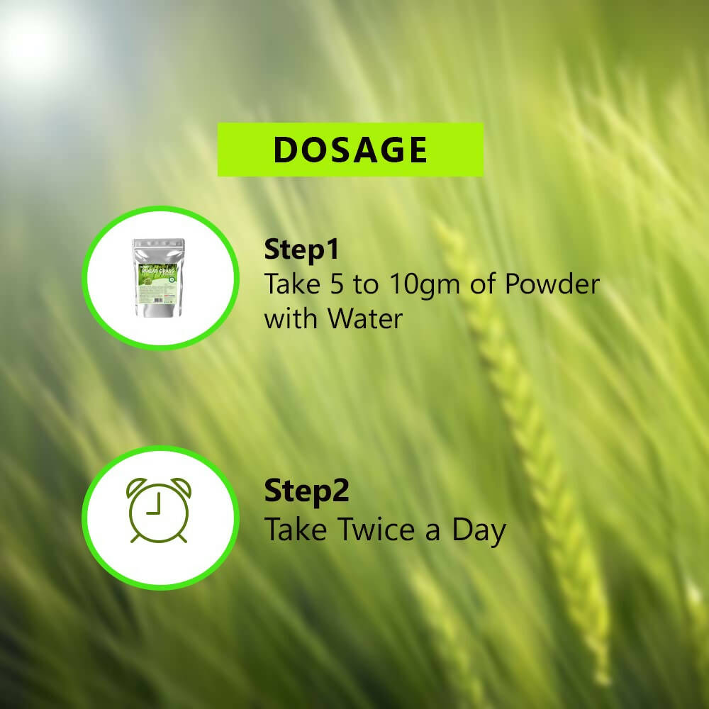 Syndy Pharma Organic Wheat Grass Powder 