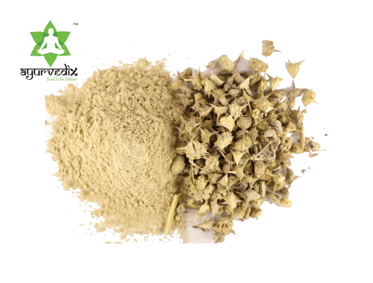 Ayurvedix Organic Gokshura Powder 