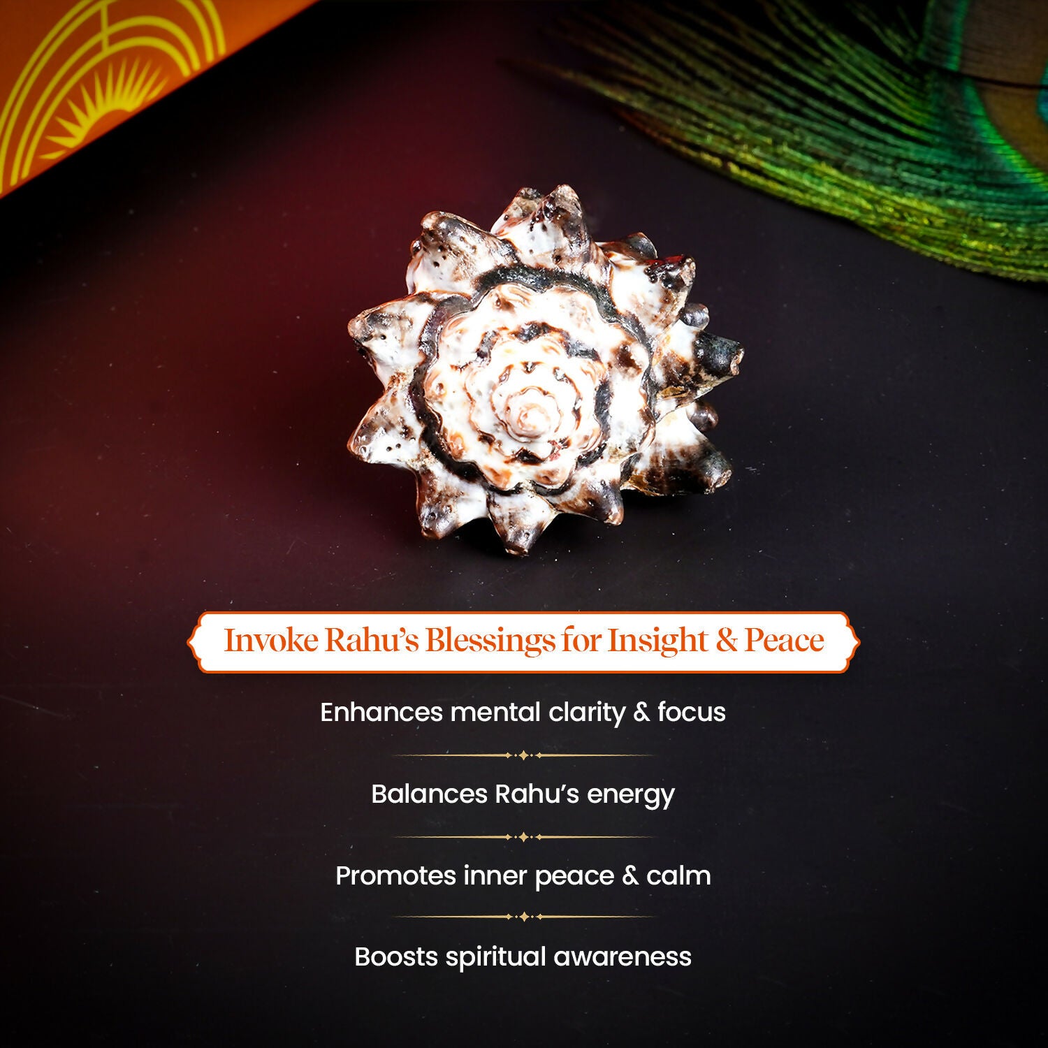 Pujashree Rahu Shankh – Spiritual Conch for Rahu Dosha Relief & Puja