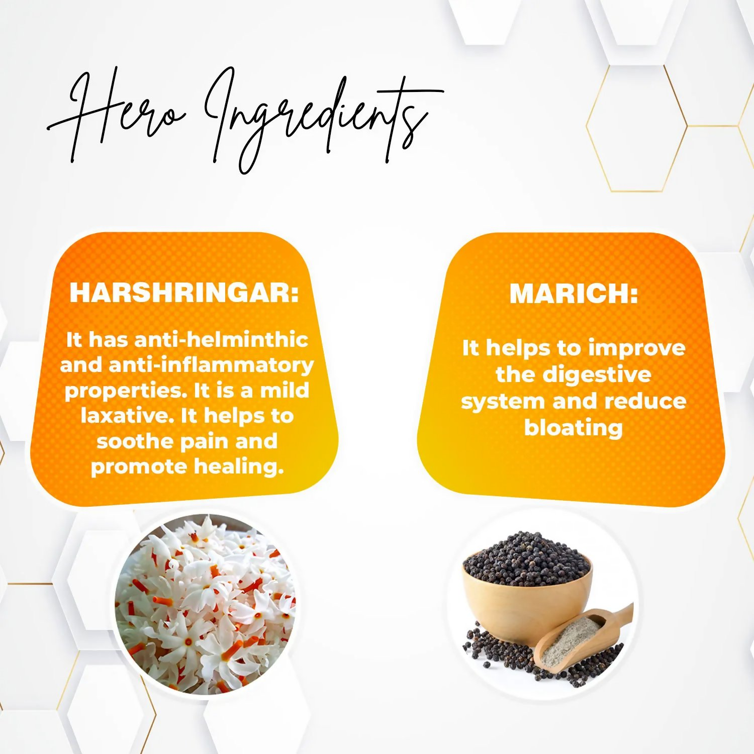 Rajasthan Herbals Piles Go Churna 