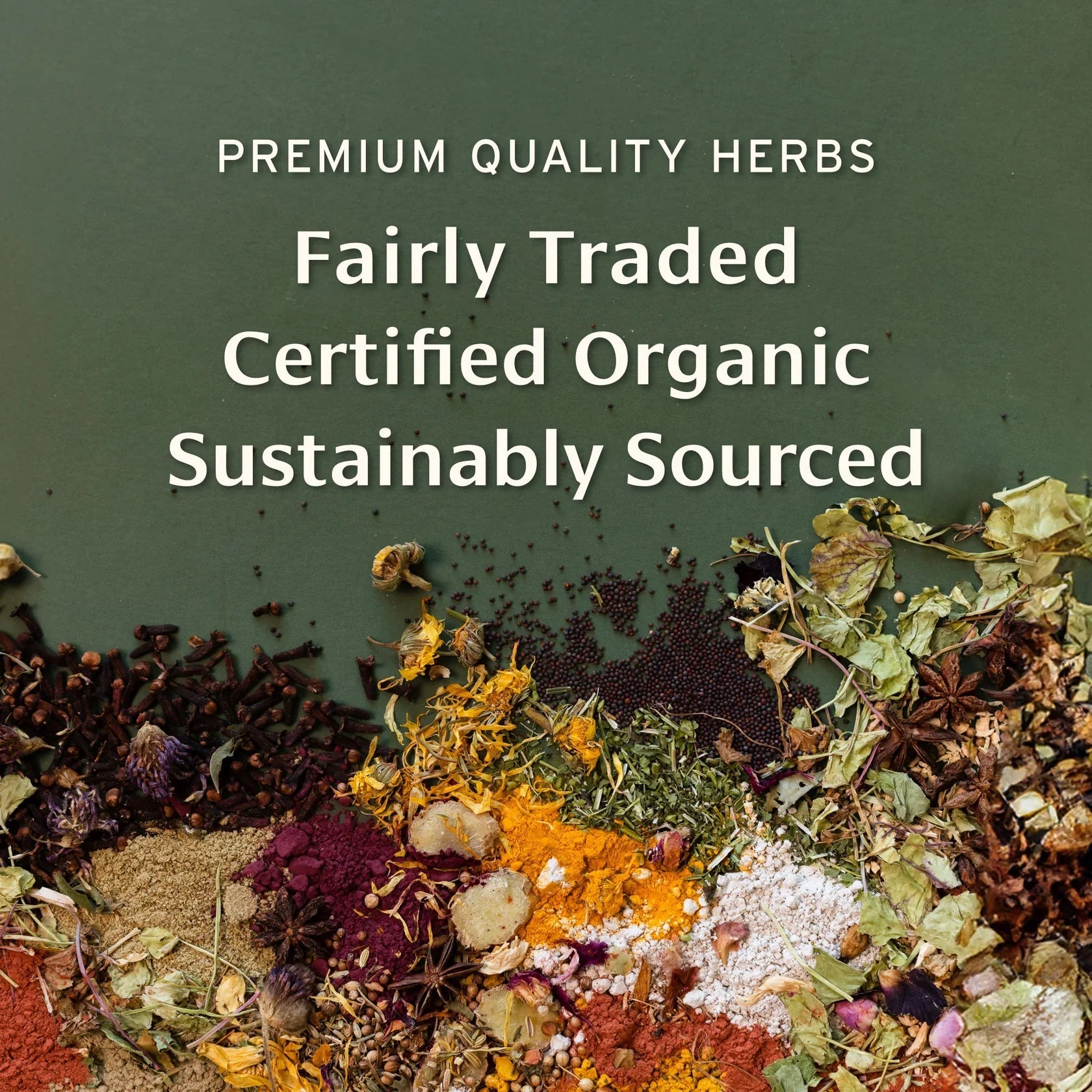 Moringa powder - Certified Organic 