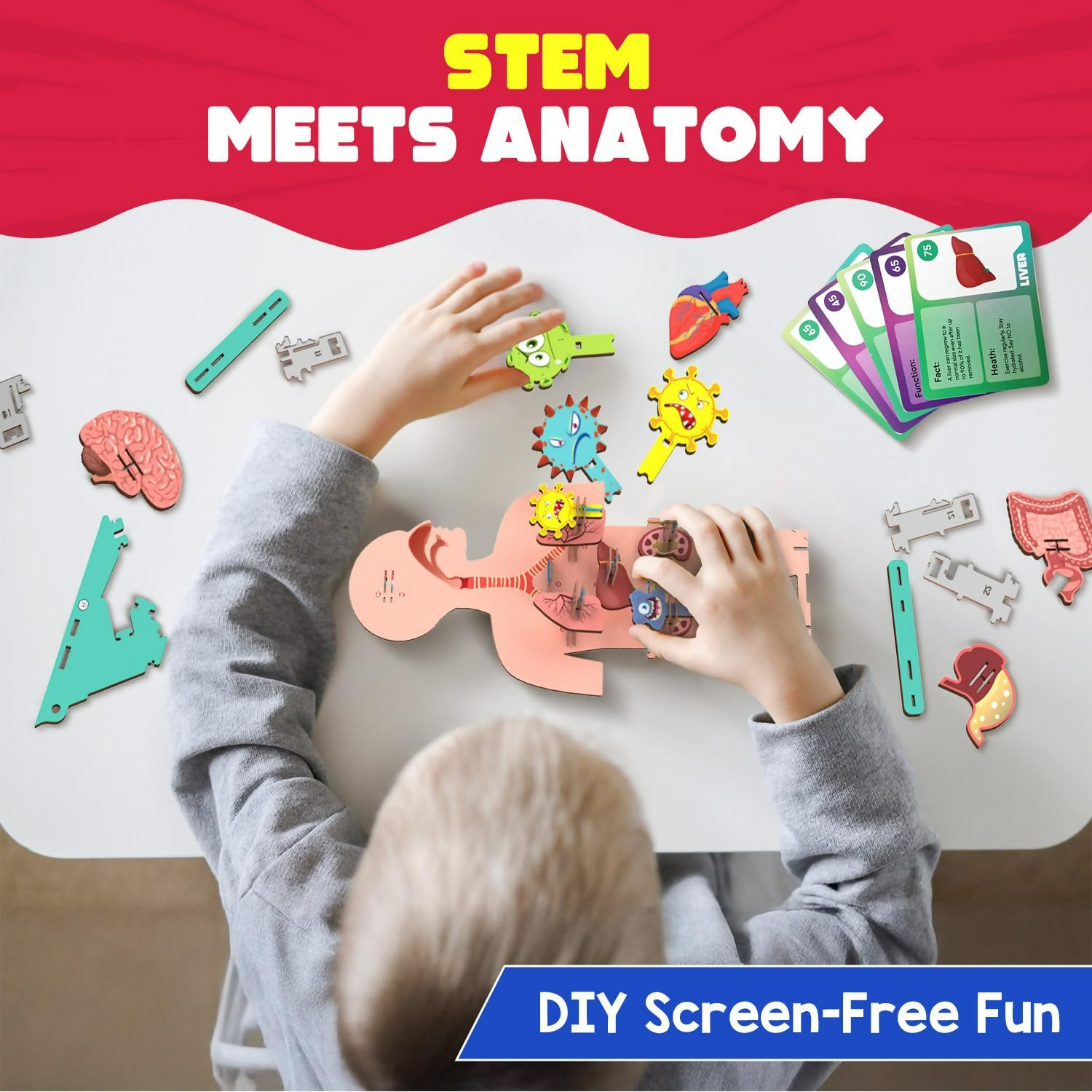 Smartivity Human Body Toy For Kids 6-12 Years Body Organs & Functions