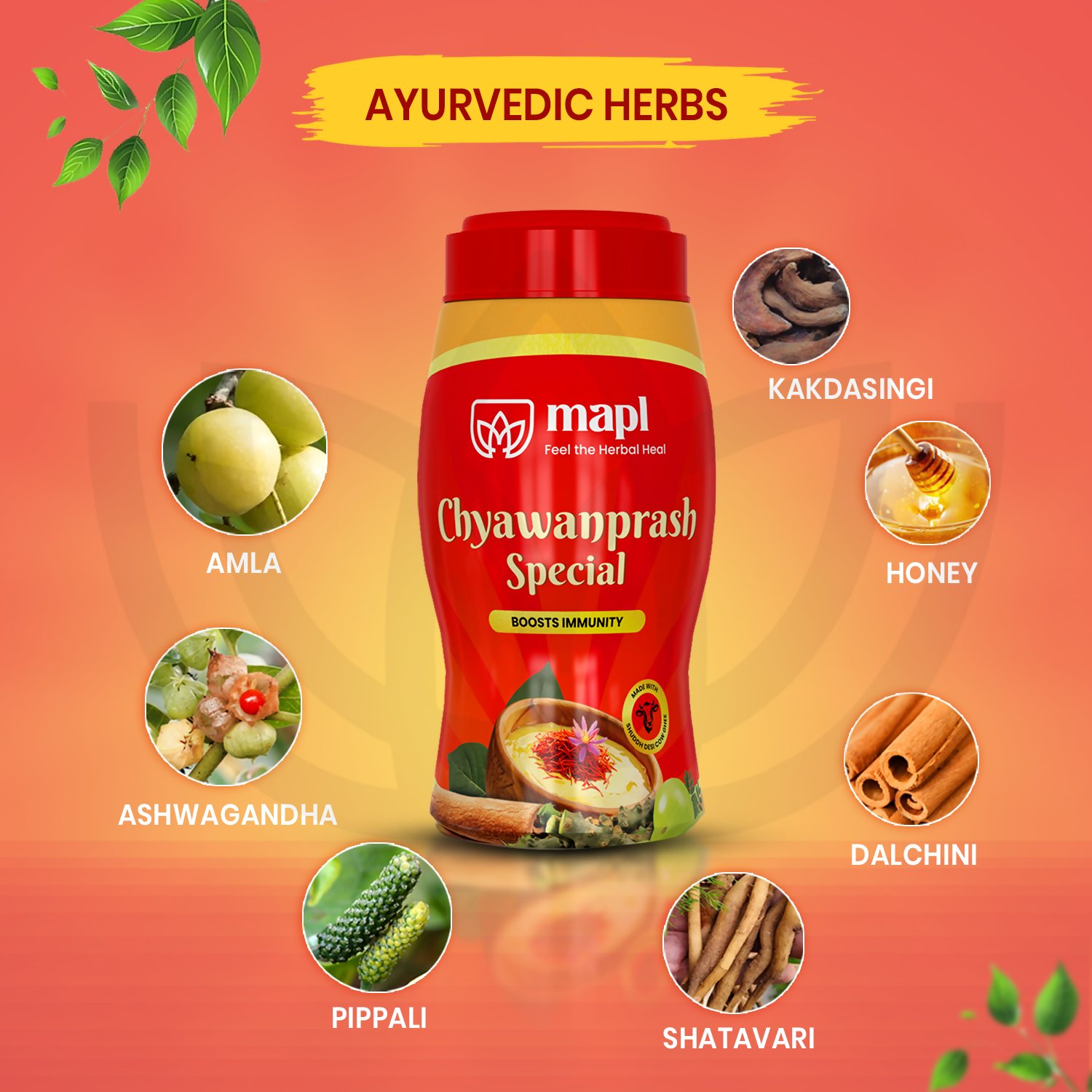 MAPL Chyawanparsh Special 