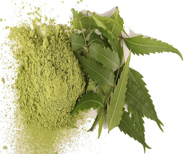 Dark Forest Bhringraj Powder : 100 gm / 200 gm  Dark Forest Brahmi Powder : 100 gm / 200 gm  Dark Forest Neem Powder : 200 gm