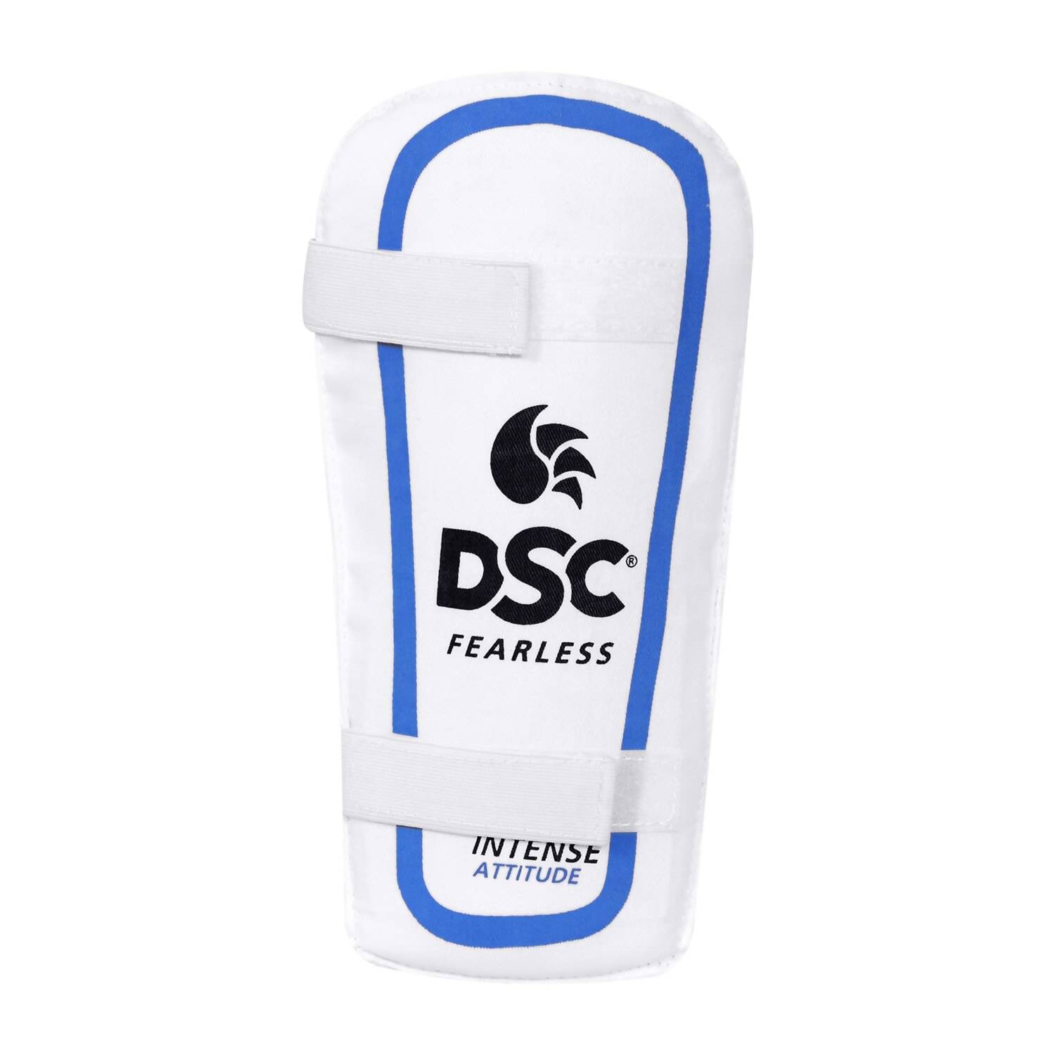 DSC Economy Kashmir Willow Cricket Kit (Size 5) 