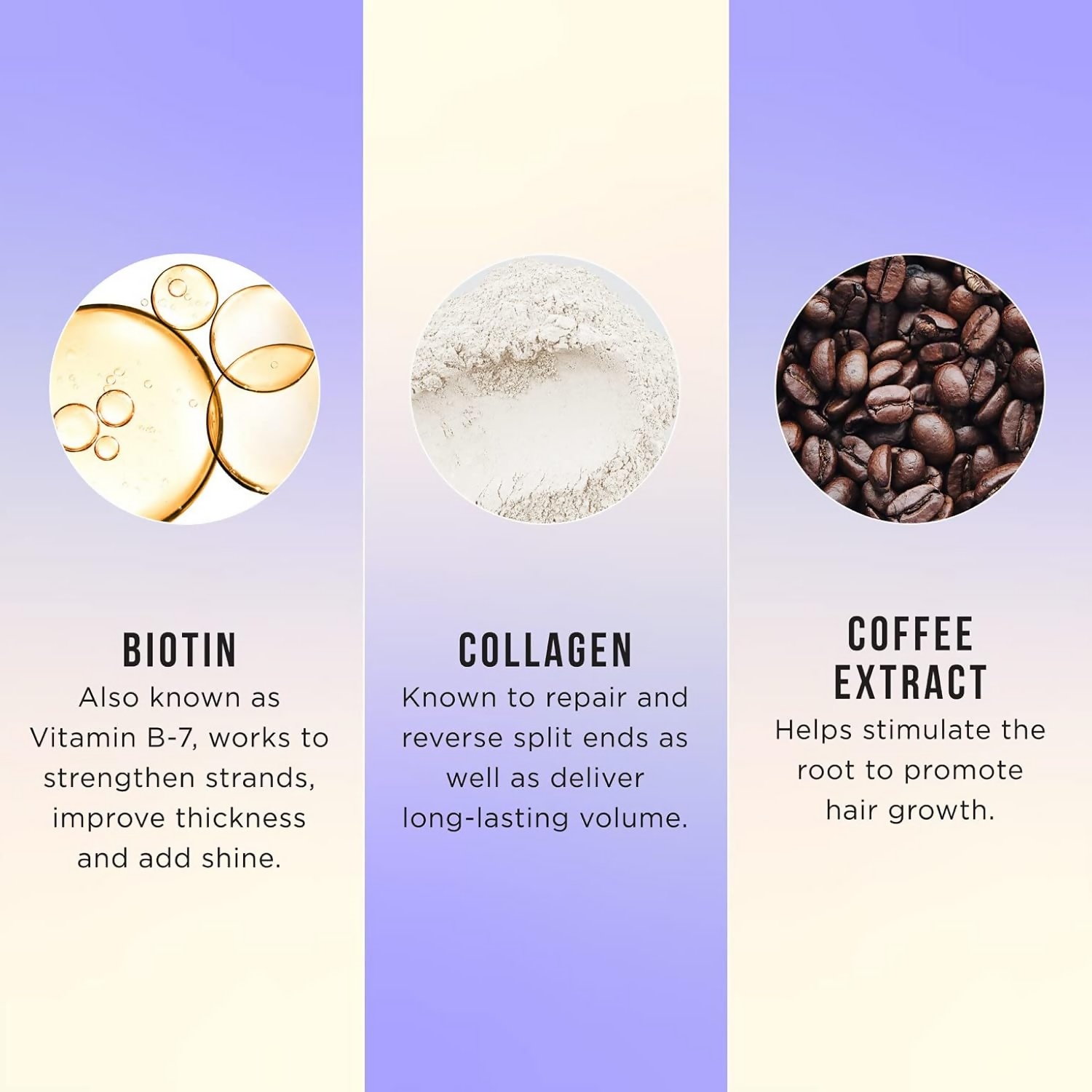 HASK Argan Oil Biotin Boost Thickening Conditioner | Swadesiicart