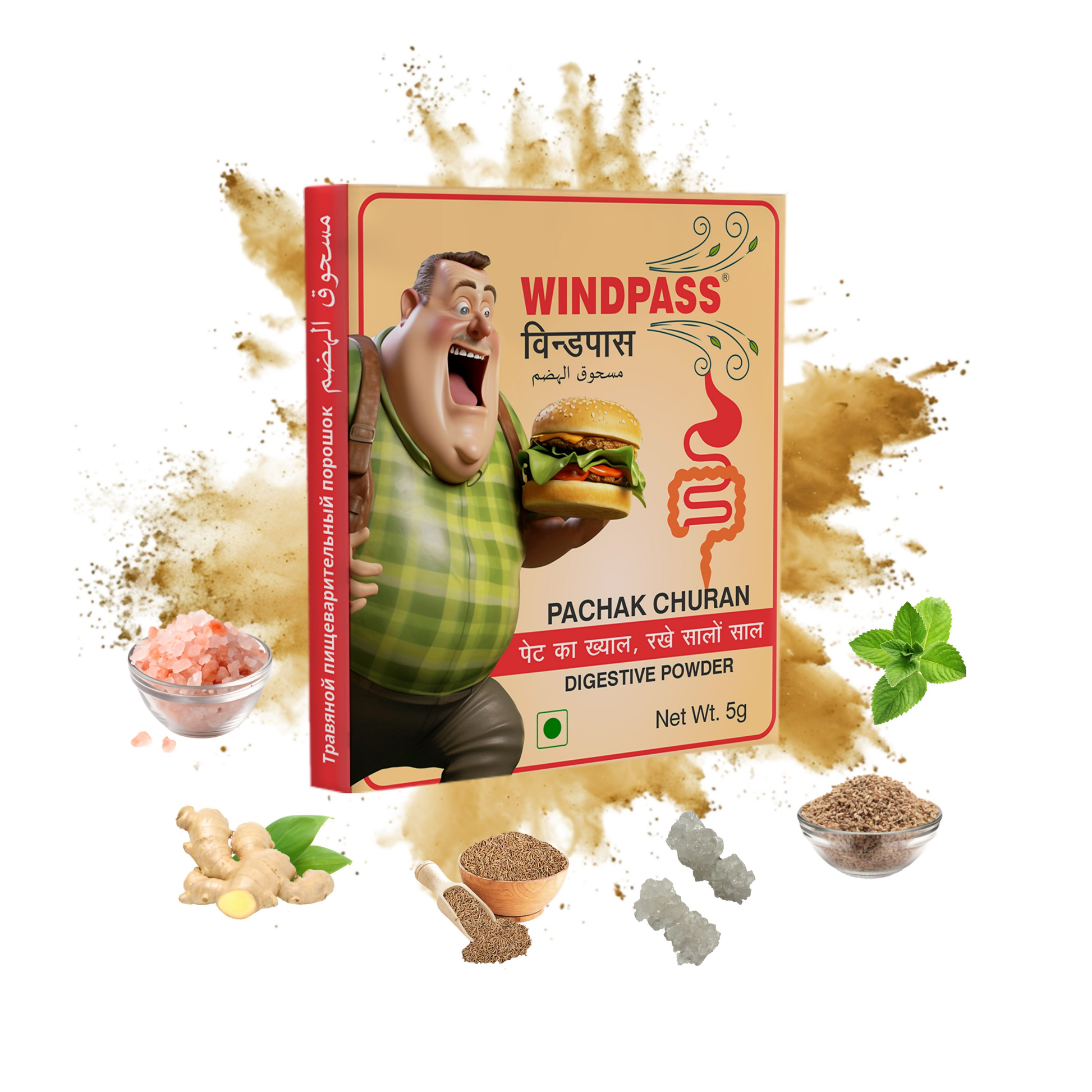 Satya Pharmaceuticals Ayurveda Windpass Pachak Churan Sachet 