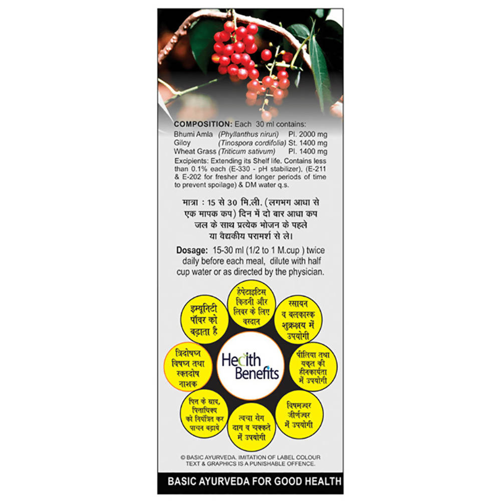 Basic Ayurveda Bhumi Amla & Giloy Mix Juice  Grab2Buy Basic Ayurveda Grab2Buy
