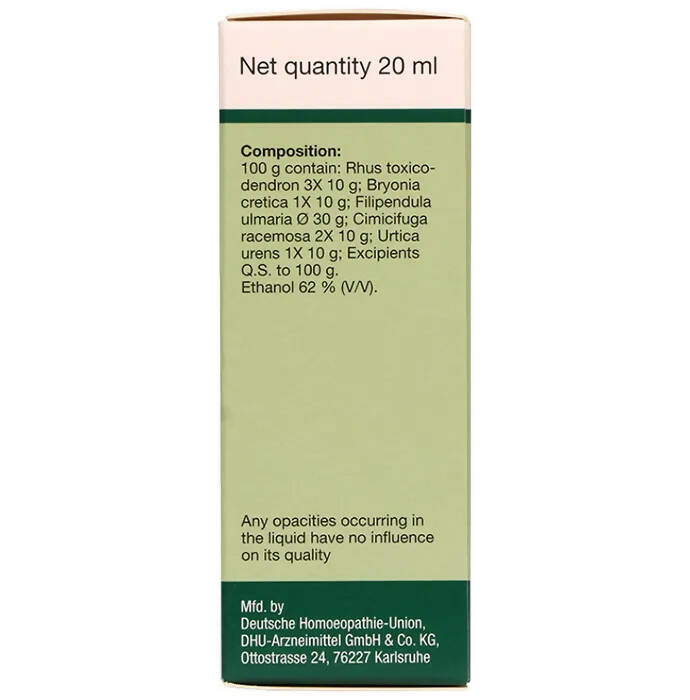 Dr. Willmar Schwabe Germany Rhus Toxicodendron Pentarkan Ptk. 73 Drops - Grab2buy