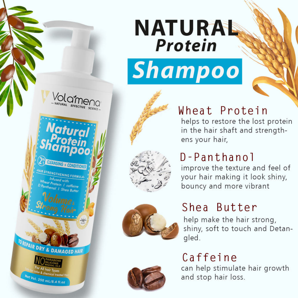 Volamena Natural Protein 2 In 1 Hair Shampoo  Grab2Buy Volamena Grab2Buy