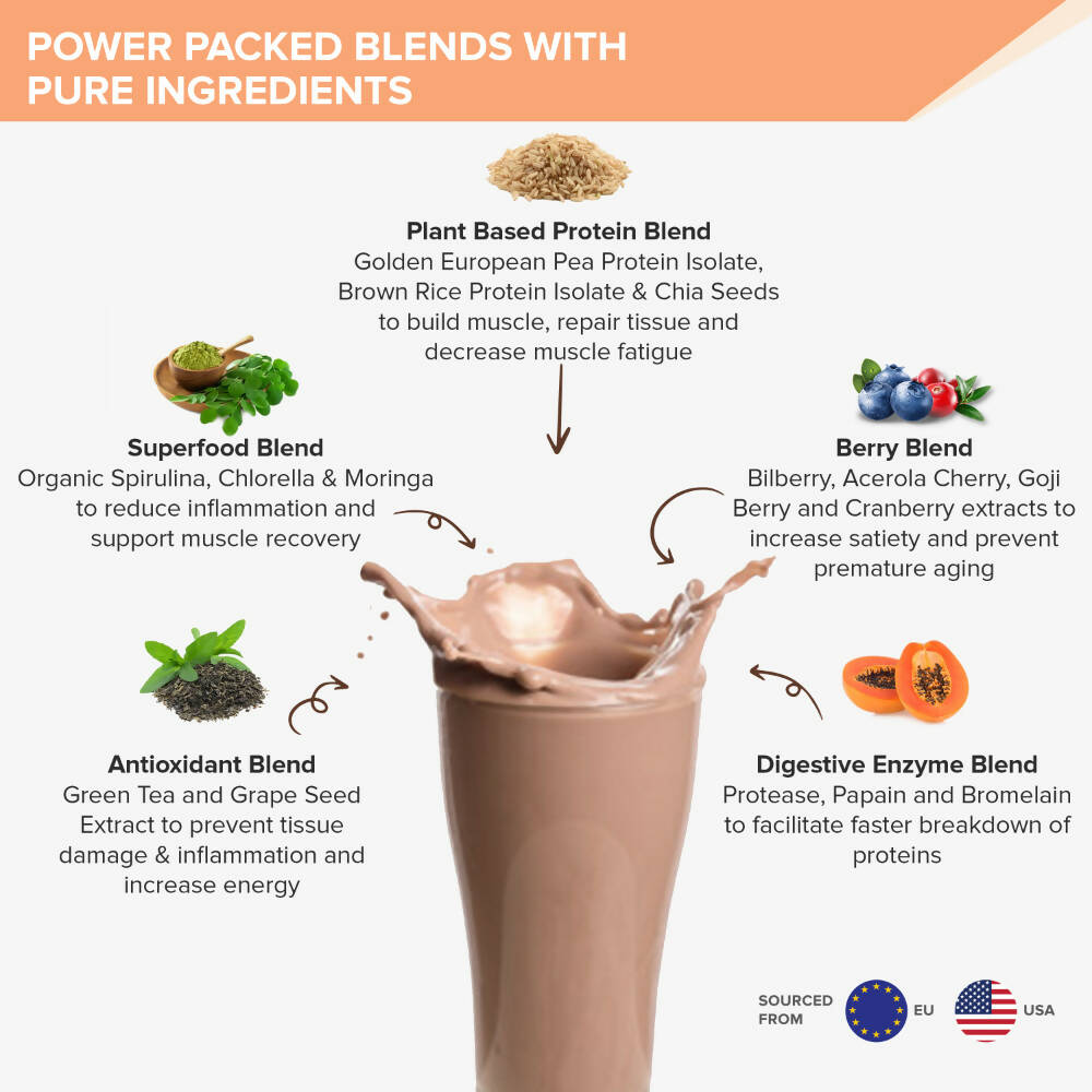 Wellbeing Nutrition Superfood Plant Protein-Dark Chocolate Hazelnut  Grab2Buy Wellbeing Nutrition Grab2Buy