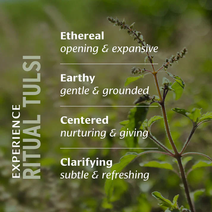 Banyan Botanicals | Ritual Tulsi Gift Box 