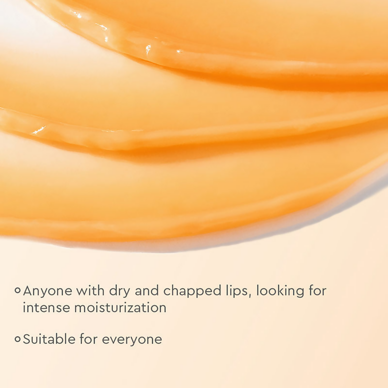 The Face Shop Vitamin C Lip Sleeping Mask  Grab2Buy The Face Shop Grab2Buy