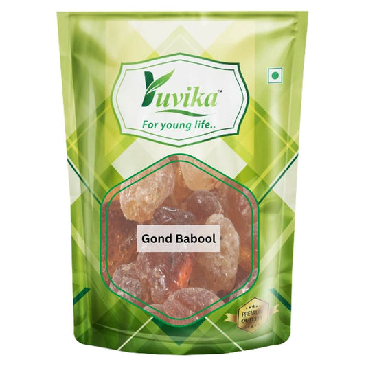 Yuvika Gond Babool - Babul Gond - Gond Kikar - Acacia Gum 