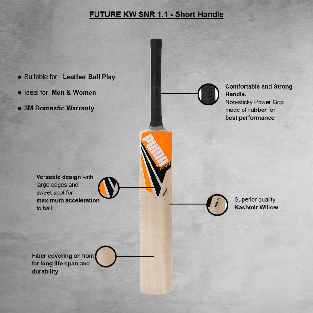 Puma Future Kashmir Willow Cricket Bat 