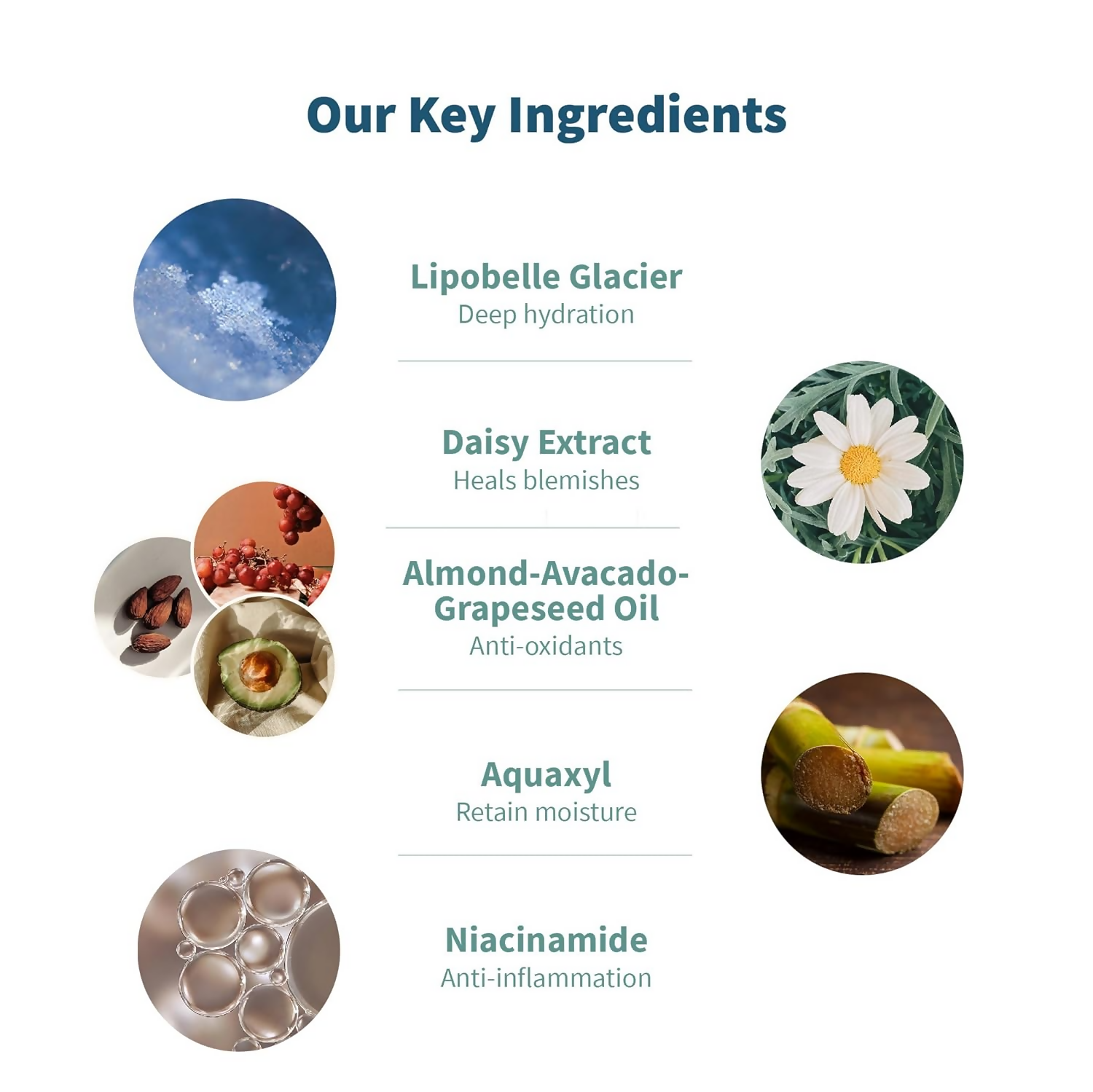 download - 2024-10-09T131711.177