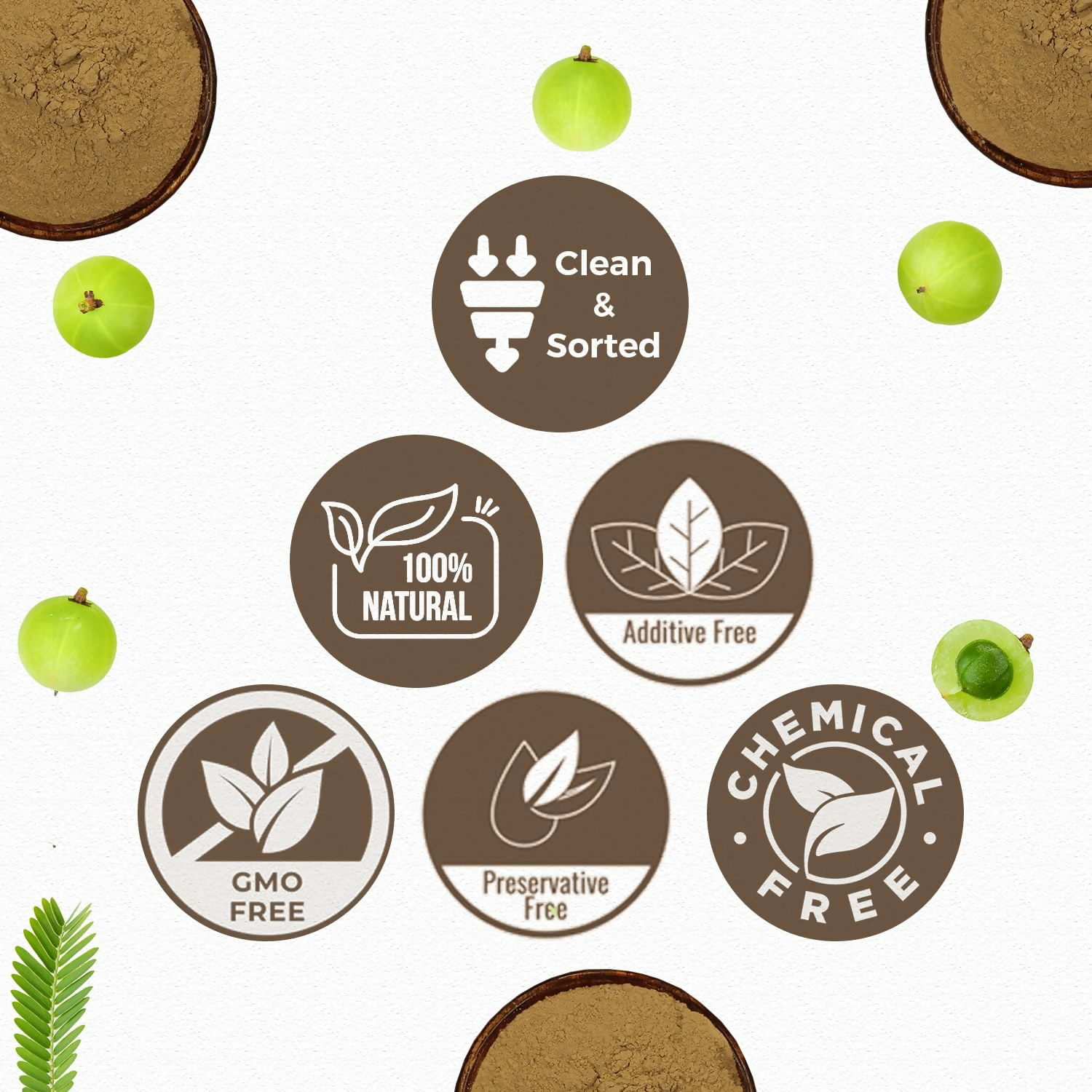 Carmel Organics Amla Fruit Powder 