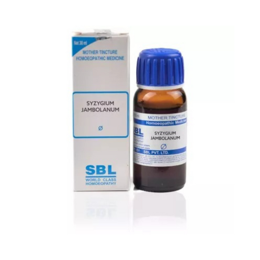SBL Homeopathy Syzygium Jambolanum Mother Tincture Q - Grab2buy