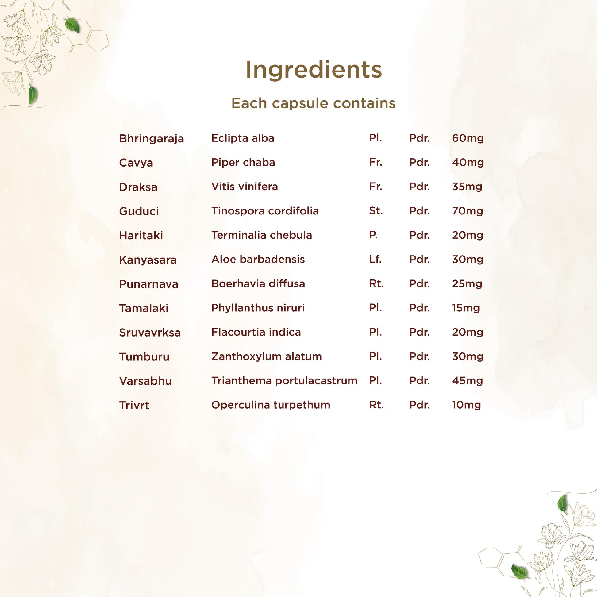 Shreevarma Yakruth Care Capsules 