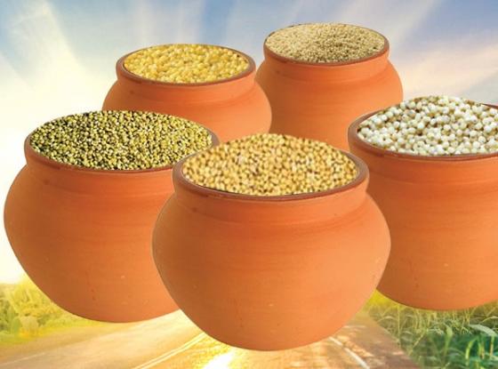 Siridhanyalu Millets - Siridhanya 5 Types Of Unpolished Organic Millets Rice Little, Kodo, Browntop Barnyard & Foxtail | Grab2Buy