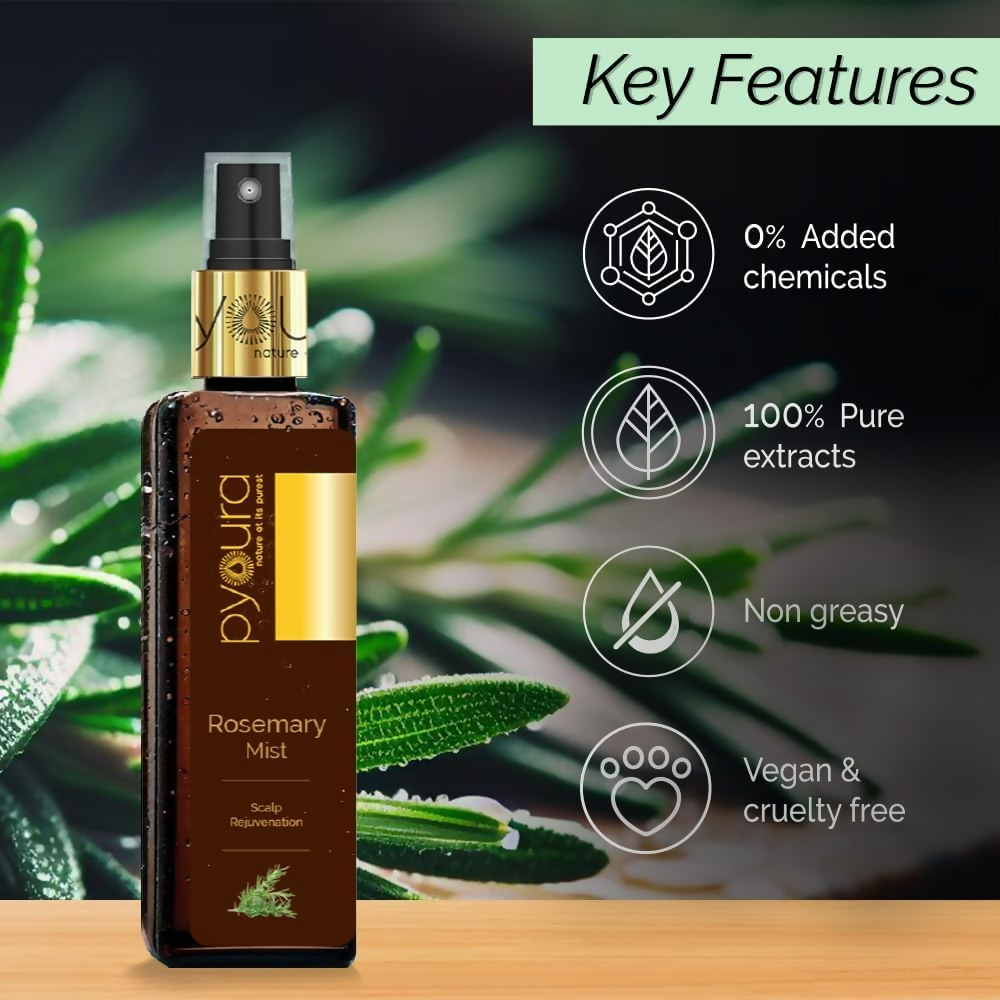 download - 2024-11-11T112611.057