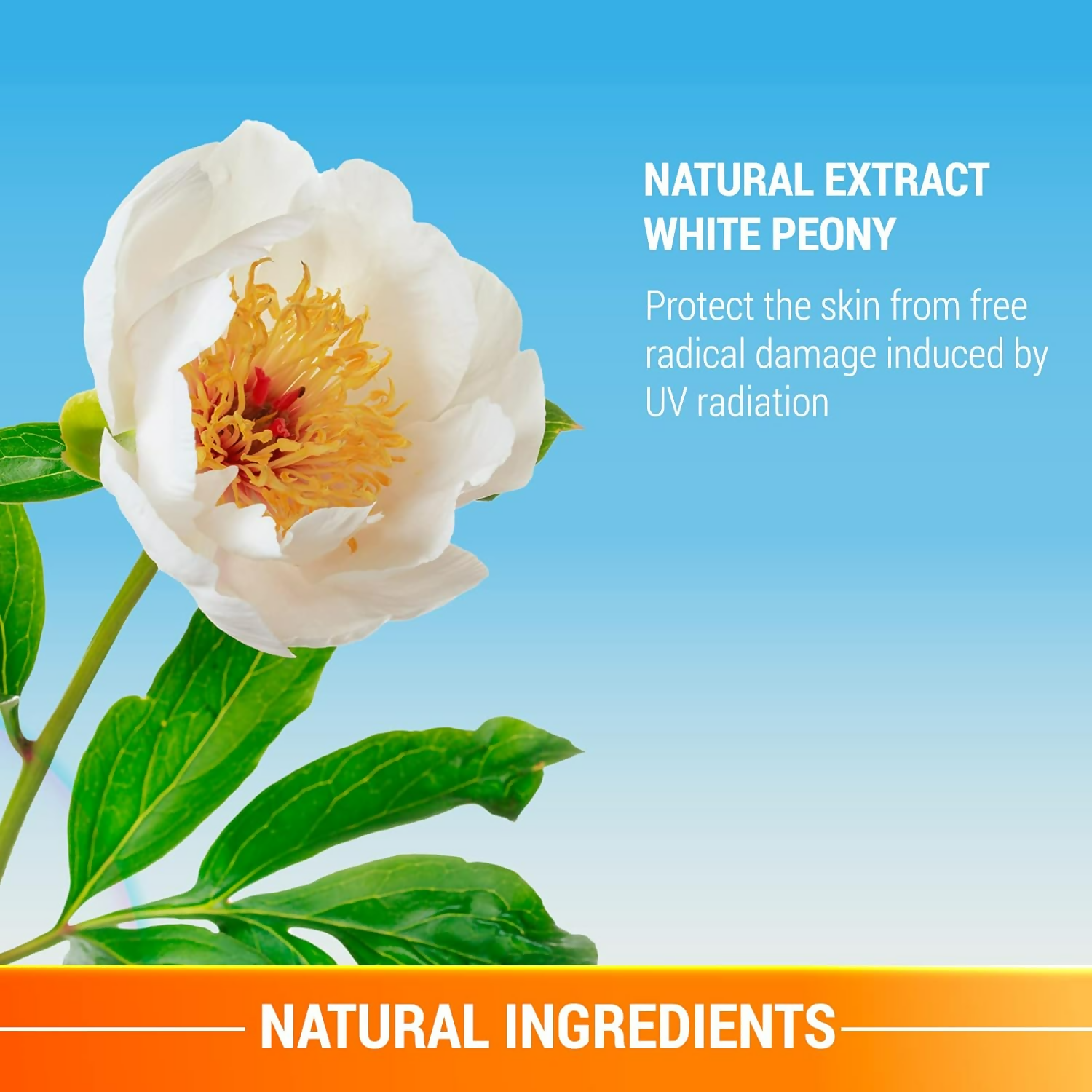 Lotus Herbals UV Shield Whitening Gel Creme