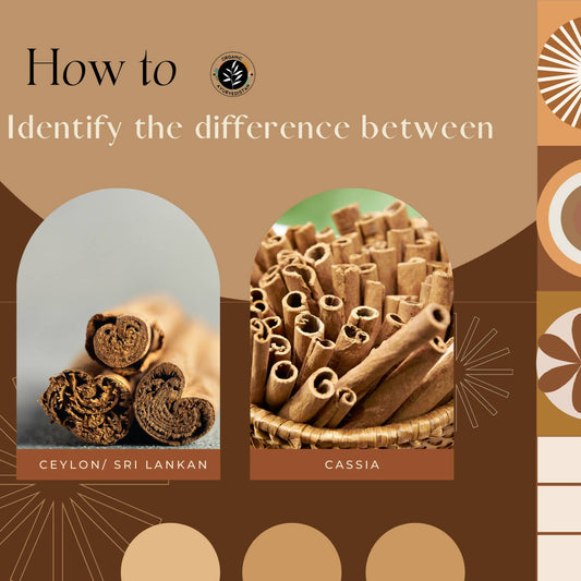 Organic Ayurvedistan Cassia Cinnamon Sticks - Grab2buy